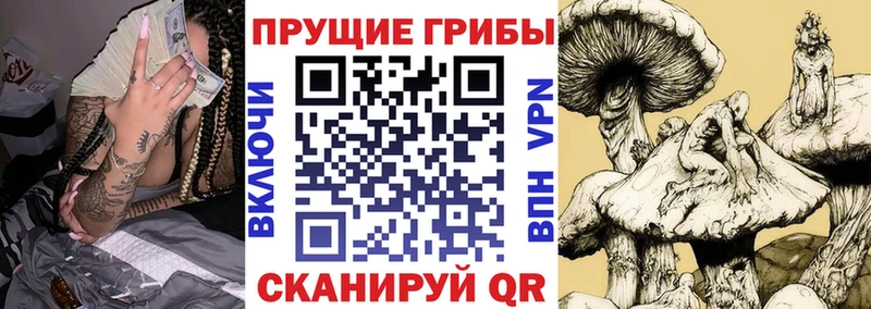 купить наркоту  Ртищево  ОМГ ОМГ онион  Галлюциногенные грибы прущие грибы 