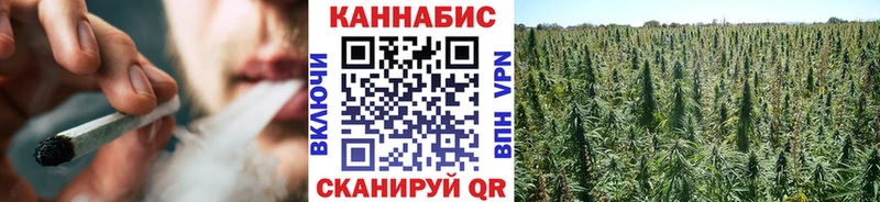 площадка телеграм  kraken рабочий сайт  Ртищево  купить  цена  Конопля семена 